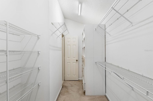 walk in closet with light colored carpet