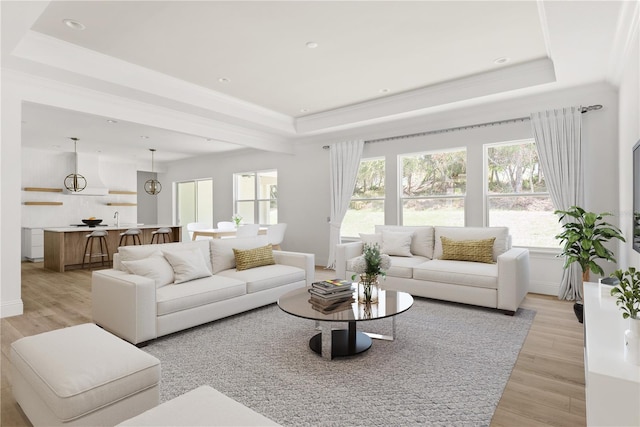 living room featuring ornamental molding, light hardwood / wood-style floors, and a tray ceiling