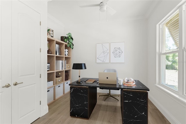 home office with ornamental molding, hardwood / wood-style floors, and ceiling fan