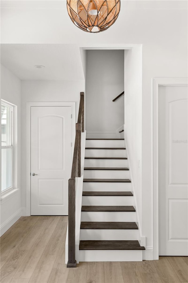 staircase with hardwood / wood-style flooring