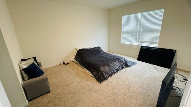 811 Turner Ln, Winter Haven, FL 33881 - photo 9