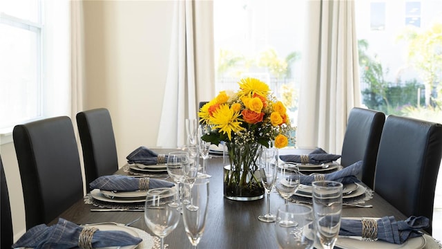 dining space with plenty of natural light