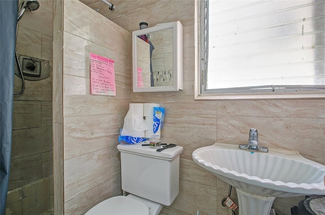 bathroom with toilet and sink