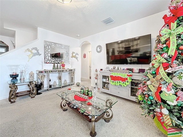 carpeted living room with a textured ceiling