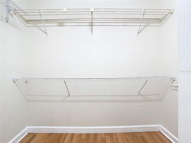 walk in closet featuring hardwood / wood-style flooring