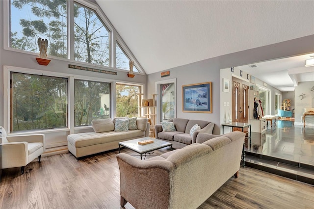 living room featuring hardwood / wood-style flooring and high vaulted ceiling