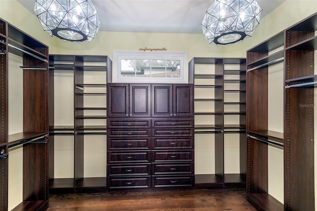 spacious closet featuring dark hardwood / wood-style flooring and an inviting chandelier