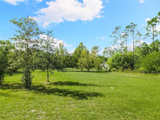 Listing photo 2 for S Obrien Rd, Groveland FL 34736