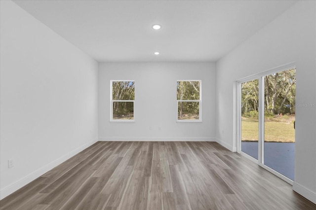 spare room featuring wood-type flooring