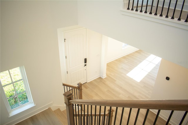 stairway with wood-type flooring