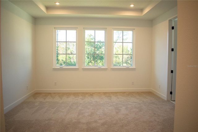 empty room with light carpet and a raised ceiling