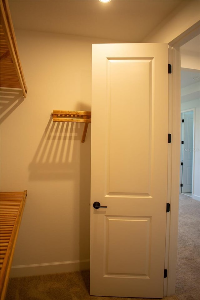 spacious closet with dark colored carpet