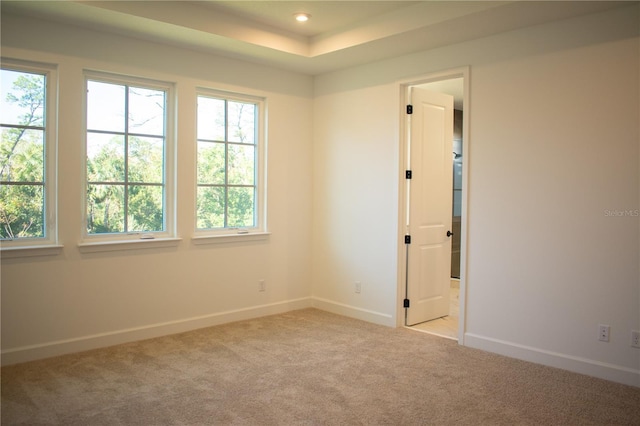 unfurnished room with light carpet, a tray ceiling, and plenty of natural light