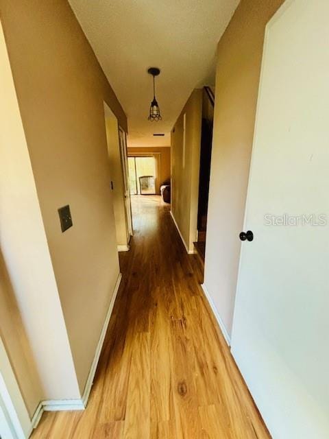 hall featuring wood-type flooring