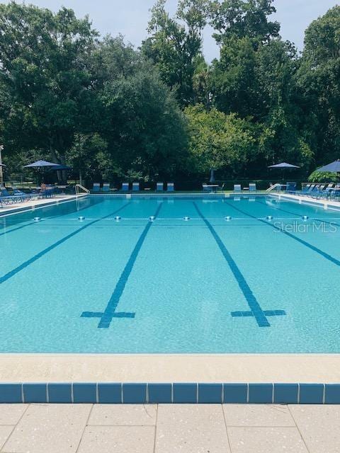 view of swimming pool