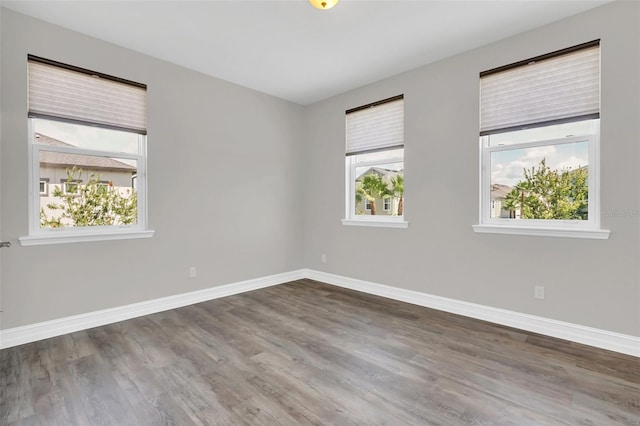 empty room featuring wood-type flooring