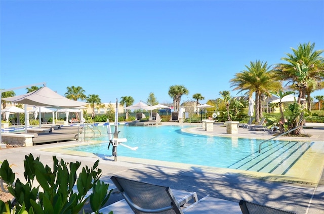 view of pool featuring a patio