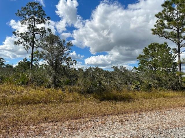 1126 Erwin St, Lake Placid FL, 33852 land for sale