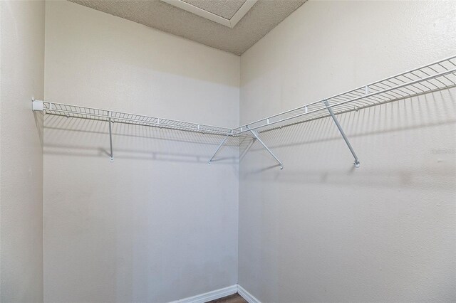 5436 Wood Crossing St, Orlando, FL 32811 - photo 19