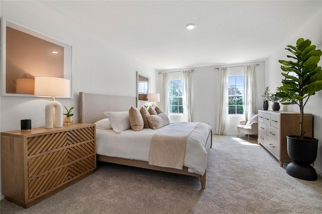 bedroom with carpet flooring