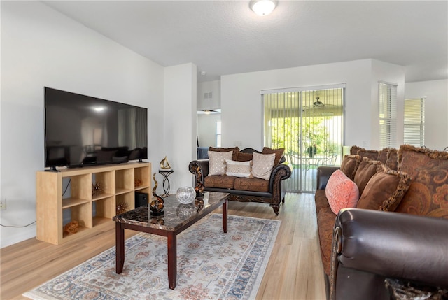 living room featuring light wood-type flooring