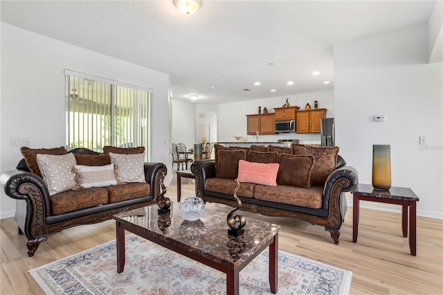 living room featuring light hardwood / wood-style floors