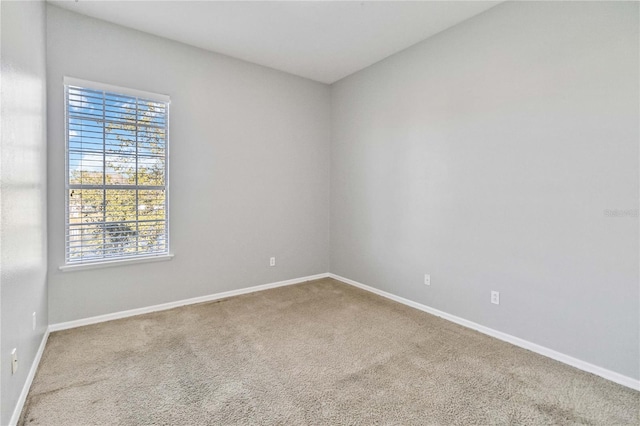 spare room with carpet flooring