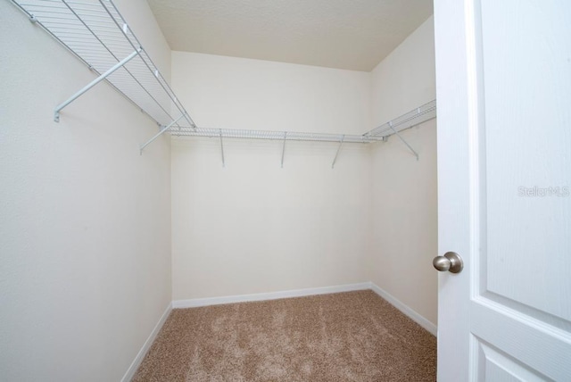 walk in closet featuring light colored carpet