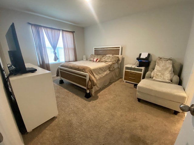 bedroom featuring carpet