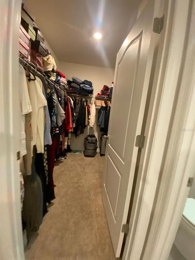 spacious closet with carpet