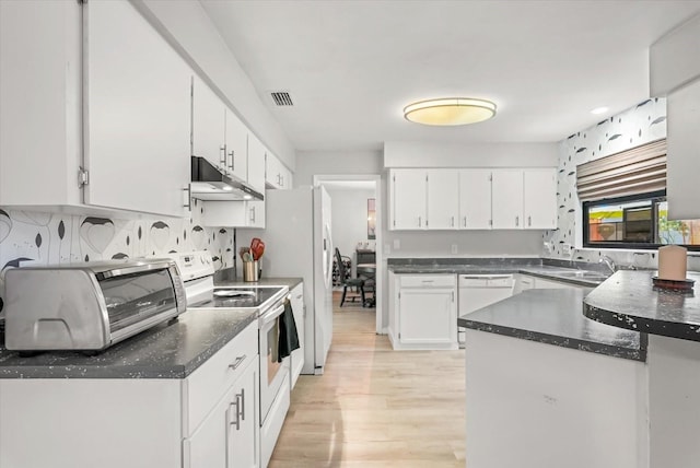 1608 Bomi Cir, Winter Park, FL 32792 - kitchen featuring white appliances, under cabinet range hood, light wood-style flooring, and white cabinets