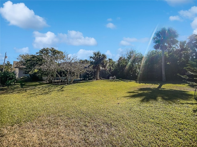 2448 S Daytona Ave, Flagler Beach, FL 32136 - view of green lawn
