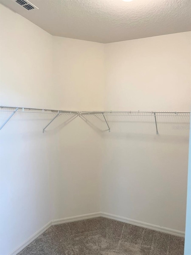 spacious closet featuring carpet