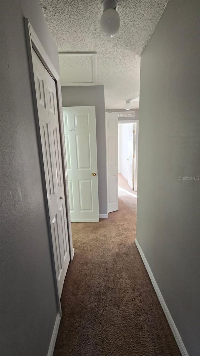 hall with carpet flooring and a textured ceiling