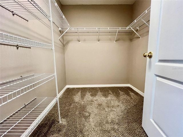 spacious closet with carpet