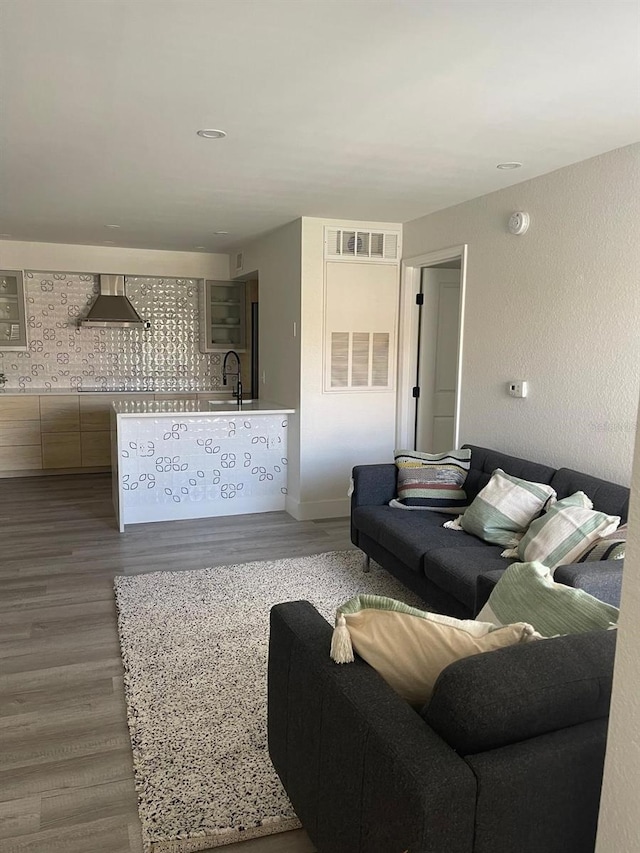 living room with sink and wood-type flooring