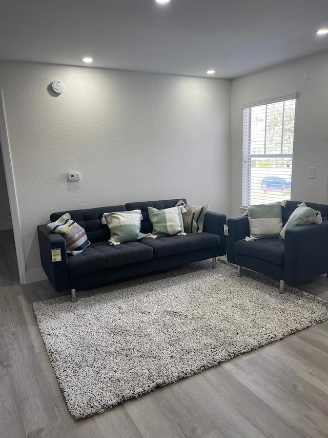 living room featuring hardwood / wood-style flooring