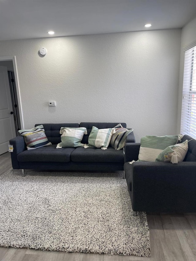 living room with hardwood / wood-style flooring