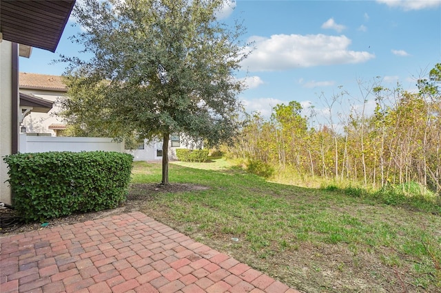 view of yard featuring a patio area