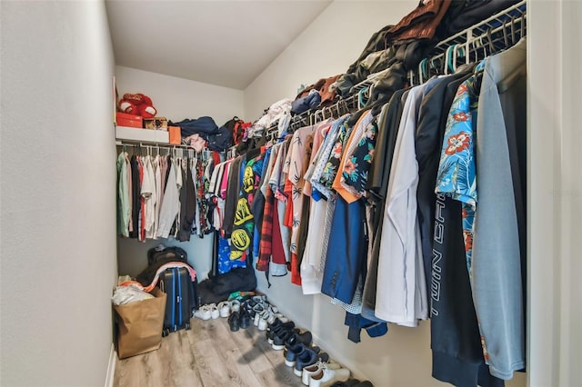 spacious closet featuring wood-type flooring