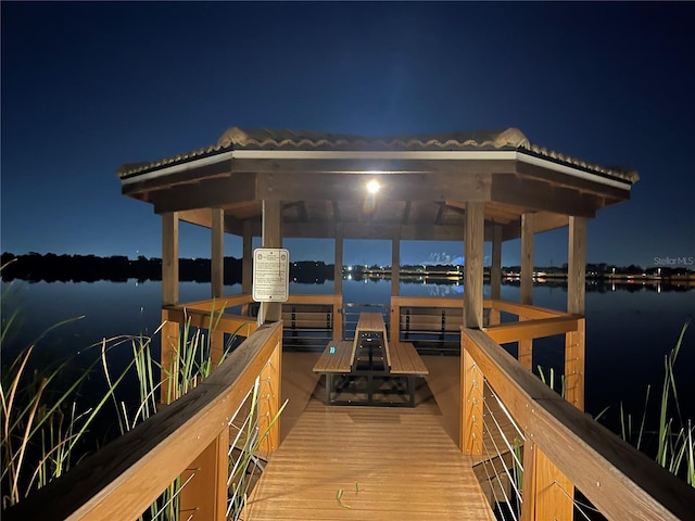 dock area with a water view