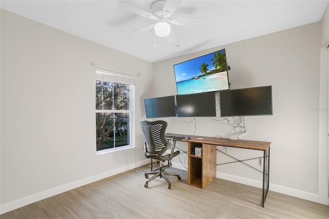 office space featuring ceiling fan and light hardwood / wood-style flooring