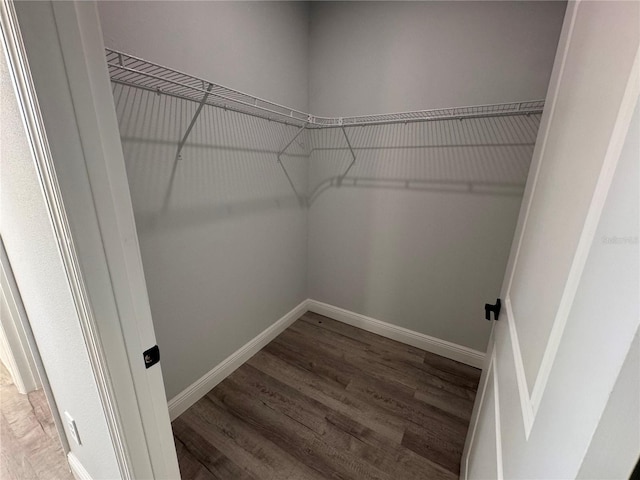 walk in closet featuring dark hardwood / wood-style flooring