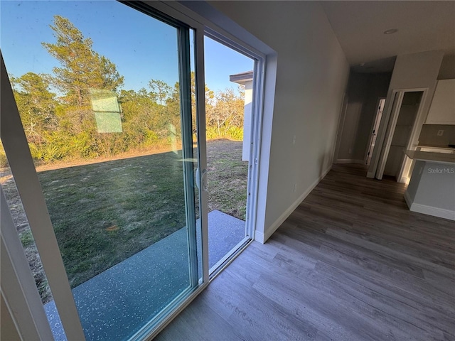 entryway with hardwood / wood-style floors