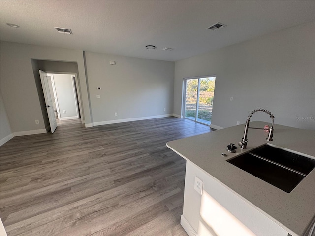 kitchen featuring an island with sink, hardwood / wood-style flooring, and sink