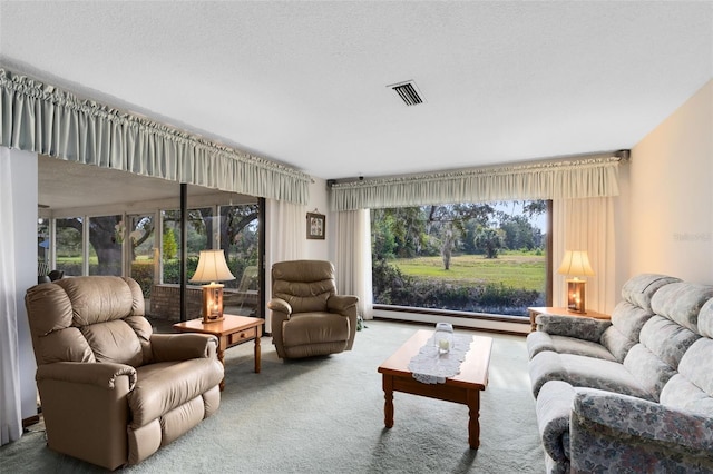 carpeted living room featuring a textured ceiling