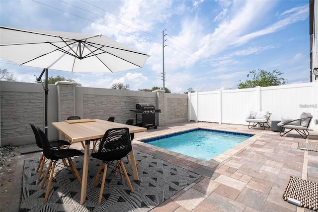 view of swimming pool featuring grilling area and a patio area