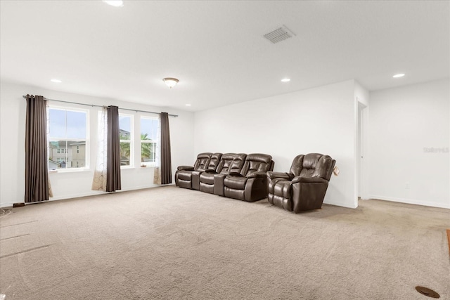 cinema room with light colored carpet