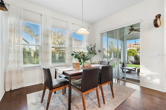 dining space with a wealth of natural light, dark wood-type flooring, and ceiling fan