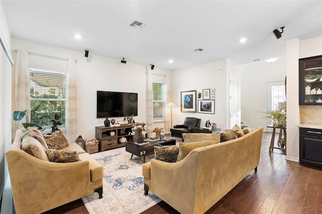 living room featuring plenty of natural light and dark wood-type flooring